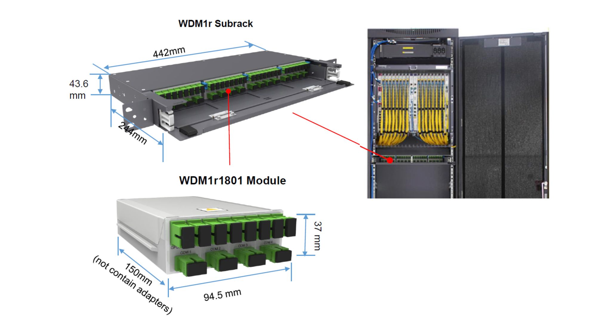 WDM1r